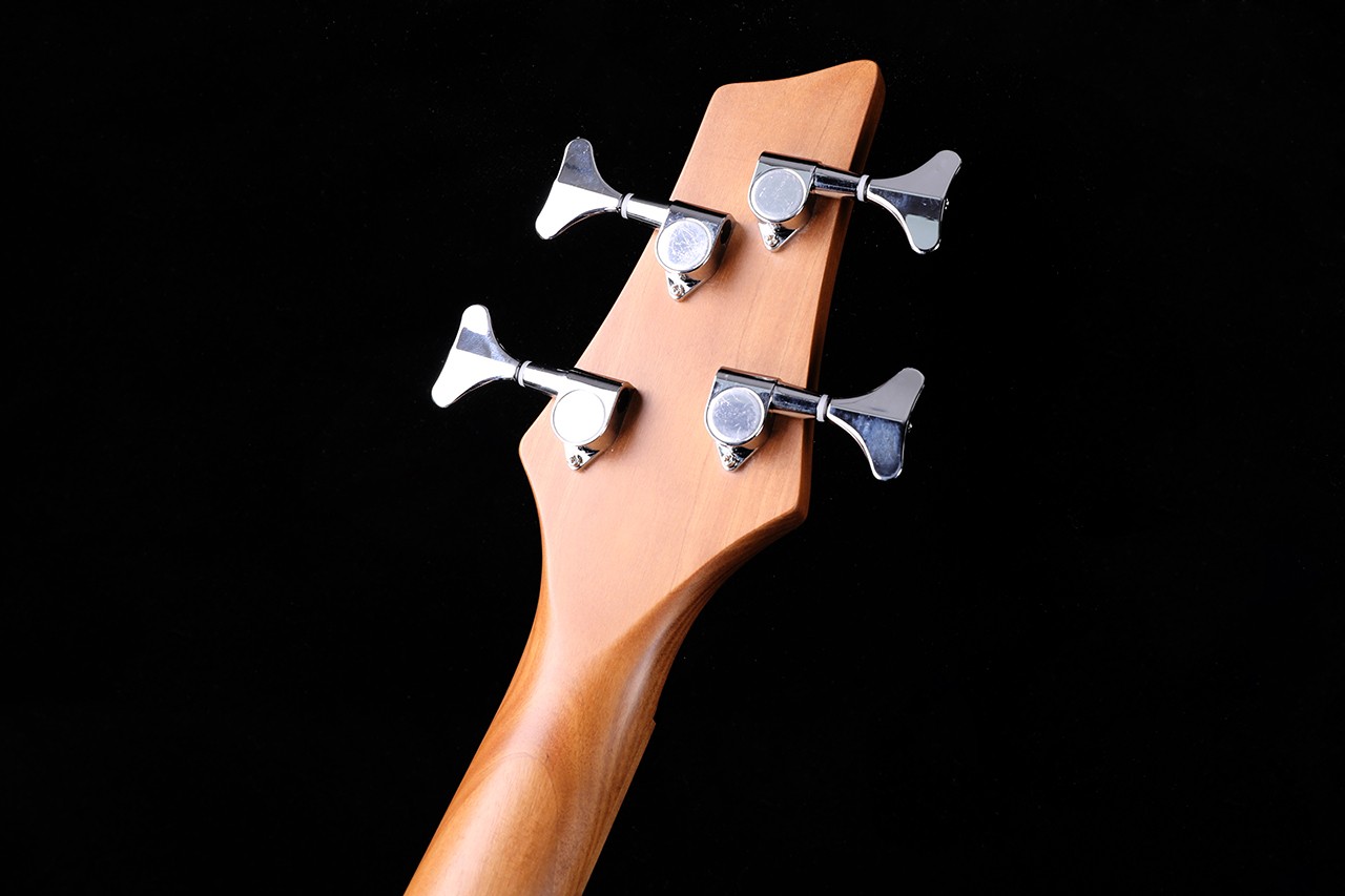BS-200 (3).JPG